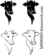 Cow Cow
