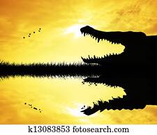 Crocodile Crocodile