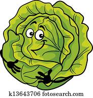 cute cabbage vegetable cartoon illustration cute cabbage vegetable cartoon illustration