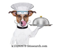 cão, cozinheiro, cozinheiro