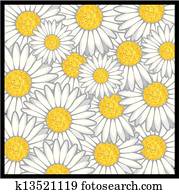 Daisy flower pattern Daisy flower pattern