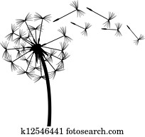 dandelion in the wind dandelion in the wind