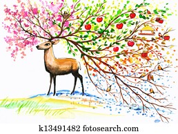 Deer Deer