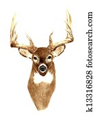 Deer - Front View Deer - Front View