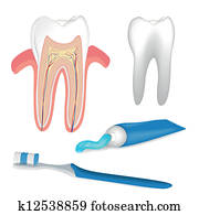 Dental Care Elements