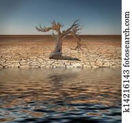 Desert Flood and tree Desert Flood and tree