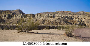 desert desert