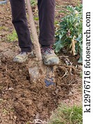digging the soil digging the soil