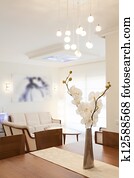 Dining Room Dining Room