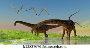 Diplodocus Feeding Diplodocus Feeding