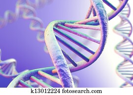 DNA Magnification DNA Magnification