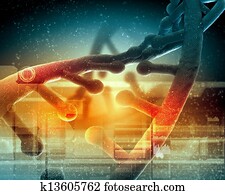 DNA molecule DNA molecule