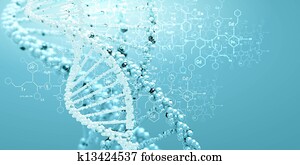 DNA molecule DNA molecule