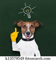dog idea dog idea