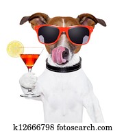 dog with cocktail dog with cocktail