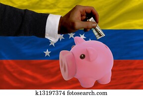 dollar into piggy rich bank and  national flag of venezuela   