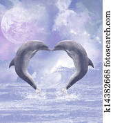 Dolphins Kisses Dolphins Kisses