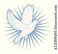 dove dove