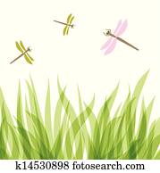 dragonfly dragonfly