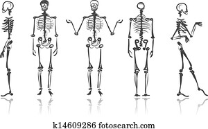 esqueleto, esboços, para, seu, desenho