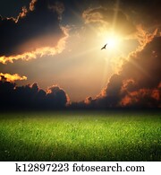 Fantasy landscape. Magic sunset and bird on sky Fantasy landscape. Magic sunset and bird on sky