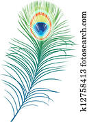 Feather of peacock Feather of peacock