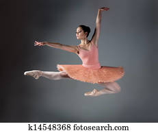 Female ballet dancer Female ballet dancer
