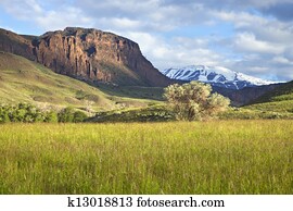 Field and mountains in Wyoming