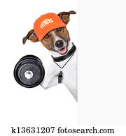 fitness dog banner fitness dog banner