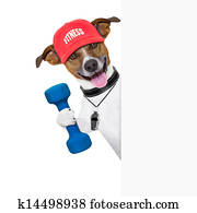 fitness dog banner fitness dog banner