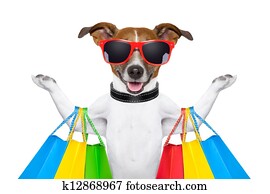 fitness dog fitness dog