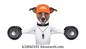 fitness dog fitness dog