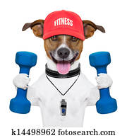 fitness dog fitness dog