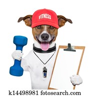 fitness dog fitness dog