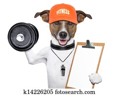 fitness dog fitness dog