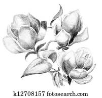 Flower sketch bouquet Flower sketch bouquet