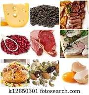 Food Sources of Protein Food Sources of Protein