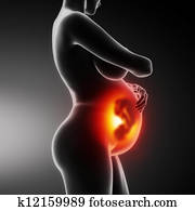 foster, och, innehållsrik kvinna