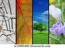 Four seasons Four seasons