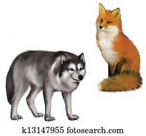 Fox and Wolf Fox and Wolf