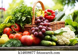 fresco, orgânica, legumes, em, cesta feito vime, jardim