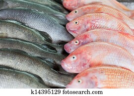 Fresh-caught sea fish on a counter in the fish market