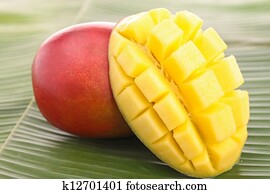 fresh mango fresh mango