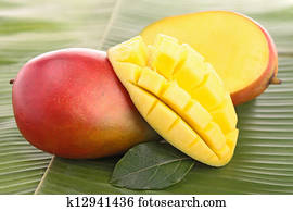 fresh mango fresh mango
