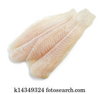 fresh raw fish fillet