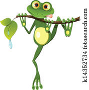 frog on a branch frog on a branch