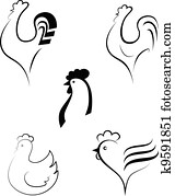 galinha, e, cockerel