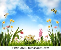 Garden scenery Garden scenery