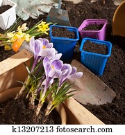 gardening, gardening,