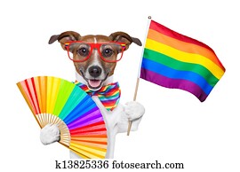 gay pride dog gay pride dog